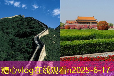 糖心Vlog官网12月去哪里旅游最合适让你的年末更加精彩