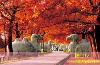 糖心vlog官方网站10月旅游推荐让你畅游秋季美景的最佳目的地