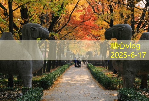 糖心tv10月份最适合旅游的五大目的地推荐