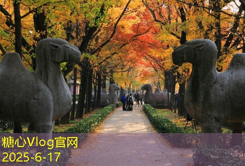 一月份成都旅游攻略美食与景点完美结合的最佳体验