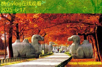 糖心Vlog官网10月旅游最佳地点推荐探索秋季的迷人风景