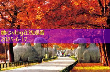 糖心vlog一月份适合旅游的五大热门目的地推荐