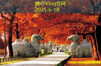 糖心vlog10月中旬去哪里旅游最心动的五个目的地推荐