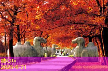 九江周边不可错过的旅游胜地推荐及游玩攻略