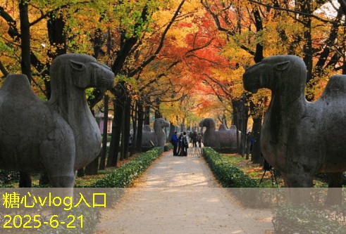 九寨沟自驾游攻略让你的旅程更轻松愉快
