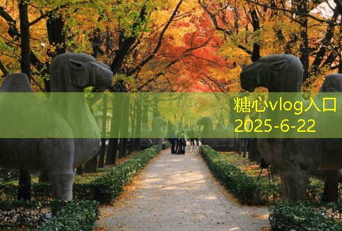 云南旅游景点推荐不可错过的绝美旅行之地