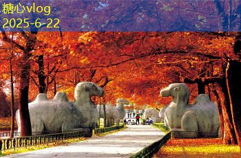 云南旅游自由行攻略让你轻松探索美丽风景