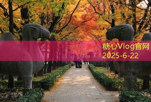云台山旅游指南畅游自然之美与人文魅力