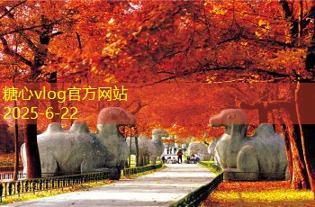 云雾山自驾游全攻略让你尽享自然风光与人文魅力