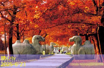 探索伊春旅游魅力及不可错过的绝美景点