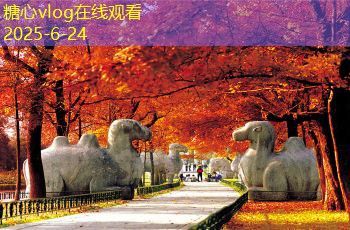 全国国庆自驾游最佳目的地推荐与排行榜分析