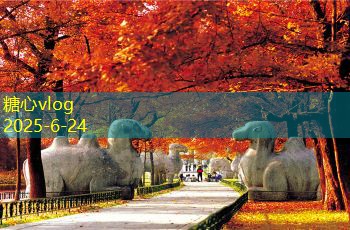 六月份出国旅游的最佳目的地推荐和攻略