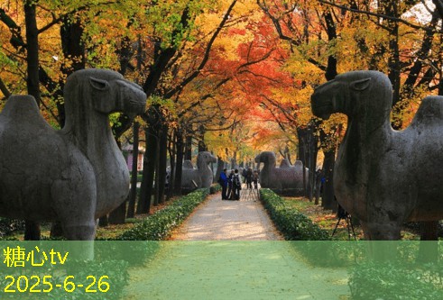 北京十三陵景区知名景点全面解析与旅游攻略