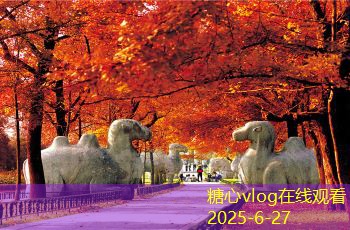 北海五天四晚旅行完美攻略畅游海滨乐趣