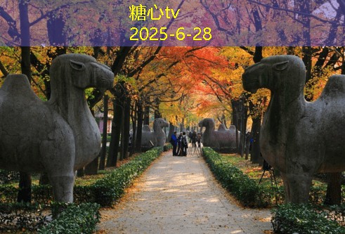 南宁三日游最佳住宿选择与旅行攻略推荐