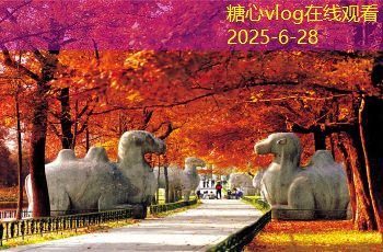南澳岛旅游攻略探索自然美景与文化魅力的完美之旅