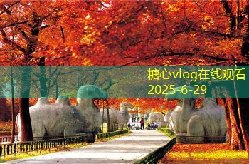 糖心vlog在线观看厦门旅游景点推荐让你领略海上花园之美