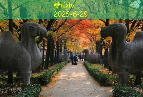 糖心vlog去丽江三天深度游必备攻略与实用建议