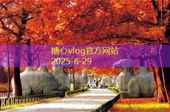 糖心vlog在线观看呼伦贝尔十天旅游攻略畅游大草原与原始风光