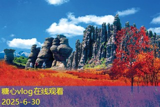 糖心Vlog官网哈尔滨太阳岛旅游攻略让你尽享冬季魅力与自然风光