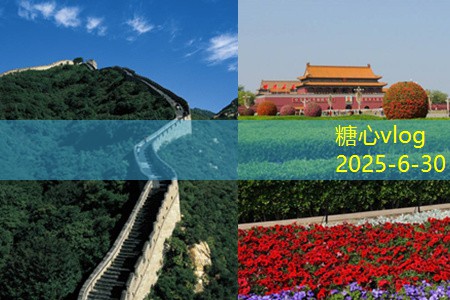 糖心vlog官方网站哈尔滨五日游全攻略让你畅游冰雪之城