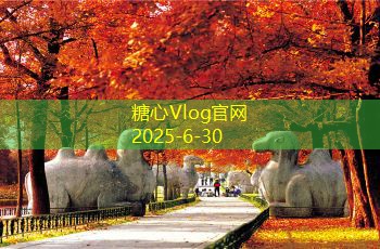 糖心vlog四到五天旅行的完美攻略让你畅游无忧